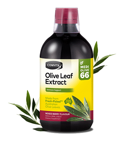 Comvita Olive Leaf Berry 500ml